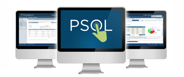 PSOL Computers